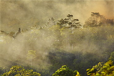 Smoke from a fire drifts across rainforest, near San Juan, Siquijor, Philippines, Southeast Asia, Asia