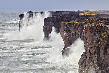 Storm surf against lava cliffs at Skalasnagi, in Snaefellsjokull National Park, the northwestern tip of the Snaefellsnes peninsula, on the west coast of Iceland, Polar Regions