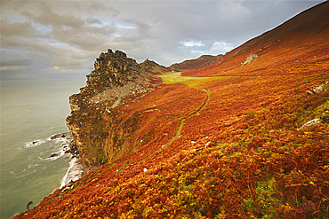 An autumn evening view of the cliffs and rocks at the Valley of Rocks, north Devon coast near Lynton, Exmoor National Park, Devon, England, United Kingdom, Europe