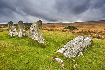 Scorhill Stone Circle, ancient stones in a prehistoric stone circle, on open moorland, Scorhill Down, near Chagford, Dartmoor National Park, Devon, England, United Kingdom, Europe