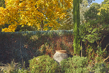 Autumn colours and urn in a group of garden trees and shrubs, RHS Rosemoor, Great Torrington, Devon, England, United Kingdom, Europe