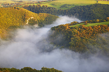 Evening mist in the valley of the East Lyn River, near Lynmouth, Exmoor National Park, Devon, England, United Kingdom, Europe