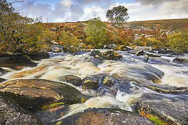 The upper River Teign in autumn, flowing across Gidleigh Common, near Chagford, Dartmoor National Park, Devon, England, United Kingdom, Europe