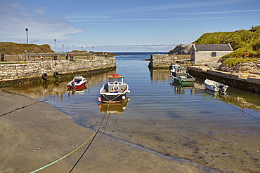 Balintoy harbour, near Giant's Causeway, County Antrim, Ulster, Northern Ireland, United Kingdom, Europe