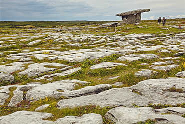 The Poulnabrone dolmen, prehistoric slab burial chamber, The Burren, County Clare, Munster, Republic of Ireland, Europe