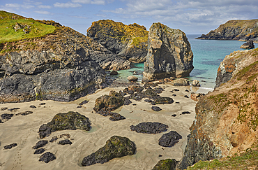 The stunning beach, rocks and cliffs at Kynance Cove, seen at at low tide, near the Lizard Point, Cornwall, England, United Kingdom, Europe