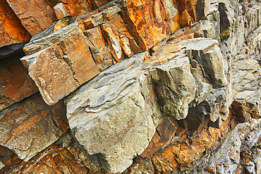 Folded sedimentary rocks in cliffs at Welcombe Mouth, on the Atlantic coast; Hartland, north Devon, England, United Kingdom, Europe