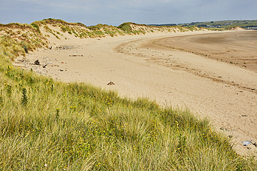 Sand dunes along the western shore of the estuary of the Taw and Torridge Rivers, near Barnstaple, Devon, England, United Kingdom, Europe