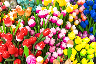 Wooden flowers for sale in Bloemenmarkt, Amsterdam, Netherlands, Europe