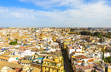 The view from the top of Seville Cathedral (Catedral Sevilla), UNESCO World Heritage Site, Seville, Andalucia, Spain, Europe