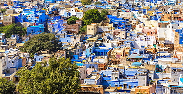 The Blue City in Jodhpur, Rajasthan, India, Asia