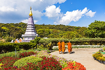 Doi Inthanon National Park, Chiang Mai, Northern Thailand, Thailand, Southeast Asia, Asia