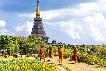 Doi Inthanon National Park, Chiang Mai, Northern Thailand, Thailand, Southeast Asia, Asia