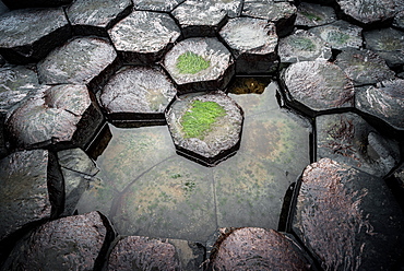 Giant's Causeway, UNESCO World Heritage Site, County Antrim, Northern Ireland, United Kingdom, Europe