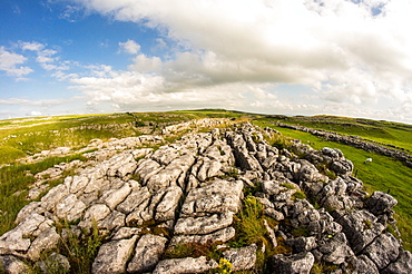 Limestone pavement above Malham, Yorkshire Dales, Yorkshire, England, United Kingdom, Europe