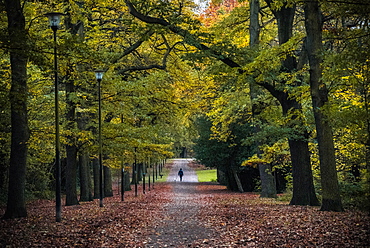 Dog walkers, Norfolk Park, Sheffield, Yorkshire, England, United Kingdom, Europe