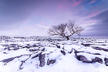 Twistleton Scar End in snow, Ingleton, Yorkshire Dales, Yorkshire, England, United Kingdom, Europe