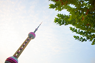 Oriental Pearl Tower, Shanghai, China, Asia