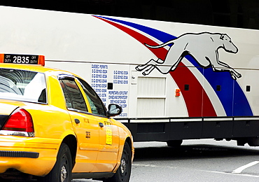 Yellow taxi and Greyhound Bus, New York City, United States of America, North America