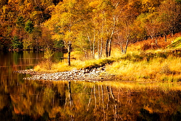 Autumn in the Scottish Highlands, Scotland, United Kingdom, Europe