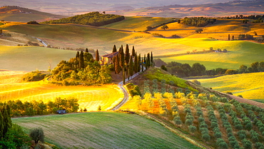 Classic Tuscan landscape at sunrise, Tuscany, Italy, Europe