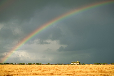 Rainbow over an abandoned cottage on a stormy Scottish Day, Scottish Highlands, Scotland, United Kingdom, Europe