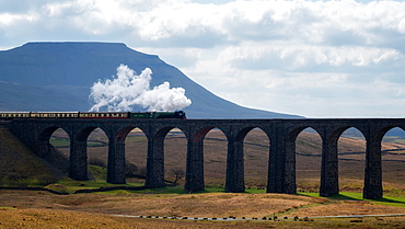 Steam train crossing the Ribblehead Viaduct, Yorkshire Dales National Park, Yorkshire, England, United Kingdom, Europe