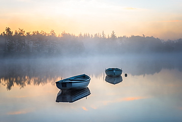 Loch Rusky, Perthshire, Scotland, United Kingdom, Europe