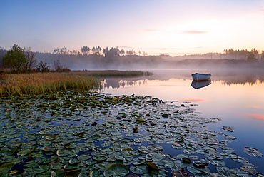 Loch Rusky, Perthshire, Scotland, United Kingdom, Europe