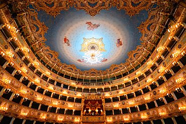 Audience Box Seating, Interior of the Gran Teatro La Fenice, Venezia, Venice, Italy, Europe