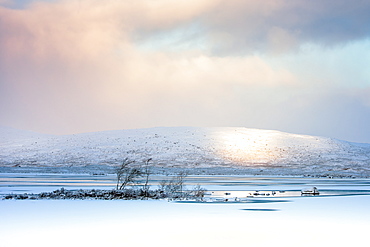 Winter view across Lochain na h'achlaise at dawn, Rannoch Moor, Highland, Scotland, United Kingdom, Europe