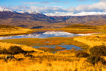 Beautiful scenery in Torres del Paine National Park, Patagonia, Chile, South America