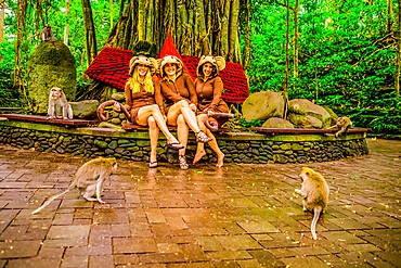 Women posing with the monkeys for a picture at the Sacred Monkey Forest, home to 700 monkeys, Ubud, Bali, Indonesia, Southeast Asia, Asia