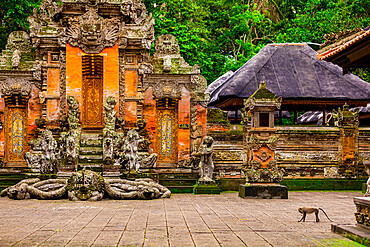 The Sacred Monkey Forest, home to 700 monkeys, Ubud, Bali, Indonesia, Southeast Asia, Asia