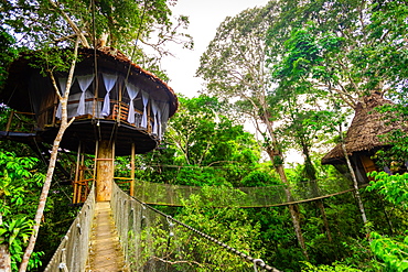 One of the tree houses at the Tree House Lodge in the Amazon Jungle, Peru, South America