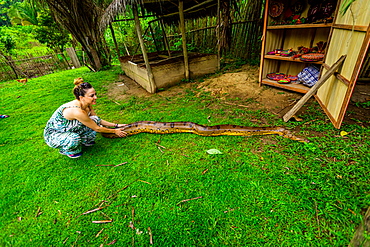 Woman touching giant Anaconda that was found at a local village, Peru, South America