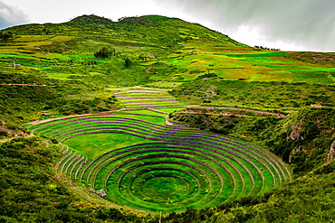 Inca terraces, ruins, Moray, Peru, South America