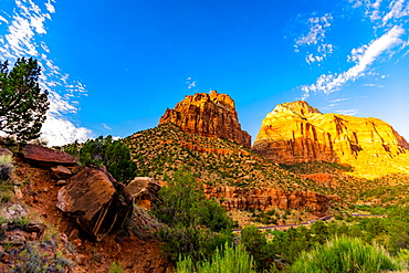 Scenery along the Canyon Overlook Trail, Zion National Park, Utah, United States of America, North America