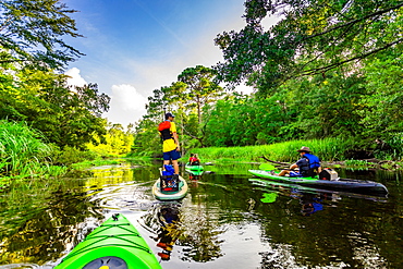 Kayaking through Cane Bayou, New Orleans, Louisiana, United States of America, North America