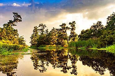 Cane Bayou, New Orleans, Louisiana, United States of America, North America