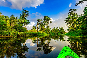 Kayaking through Cane Bayou, New Orleans, Louisiana, United States of America, North America