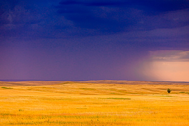 Rolling plains against a dark stormy sky in the Badlands, South Dakota, United States of America, North America