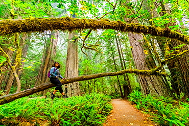 Woman exploring Mount Shasta Forest, California, United States of America, North America