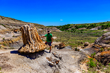 Man enjoying the view along The Petrified Forest Loop Trail inside Theodore Roosevelt National Park, North Dakota, United States of America, North America