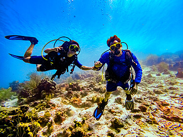 Couple scuba diving while exploring the coral reefs of Bonaire, Netherlands Antilles, Caribbean, Central America