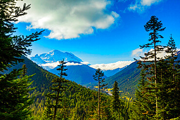 View of Mount Rainier, a stratovolcano in the Cascade Range of the Pacific Northwest, located in Mount Rainier National Park, Washington State, United States of America, North America