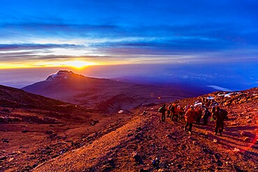 Hiking up Mount Kilimanjaro at sunset, UNESCO World Heritage Site, Tanzania, East Africa, Africa