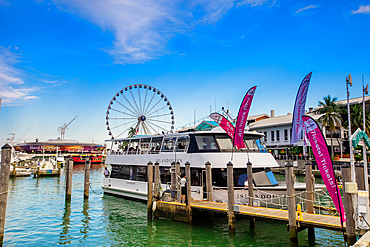 Bayside Market, Miami, Florida, United States of America, North America