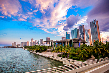 Miami Skyline, Florida, United States of America, North America