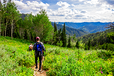 Walkers on Grand Teton National Park trails, Wyoming, United States of America, North America